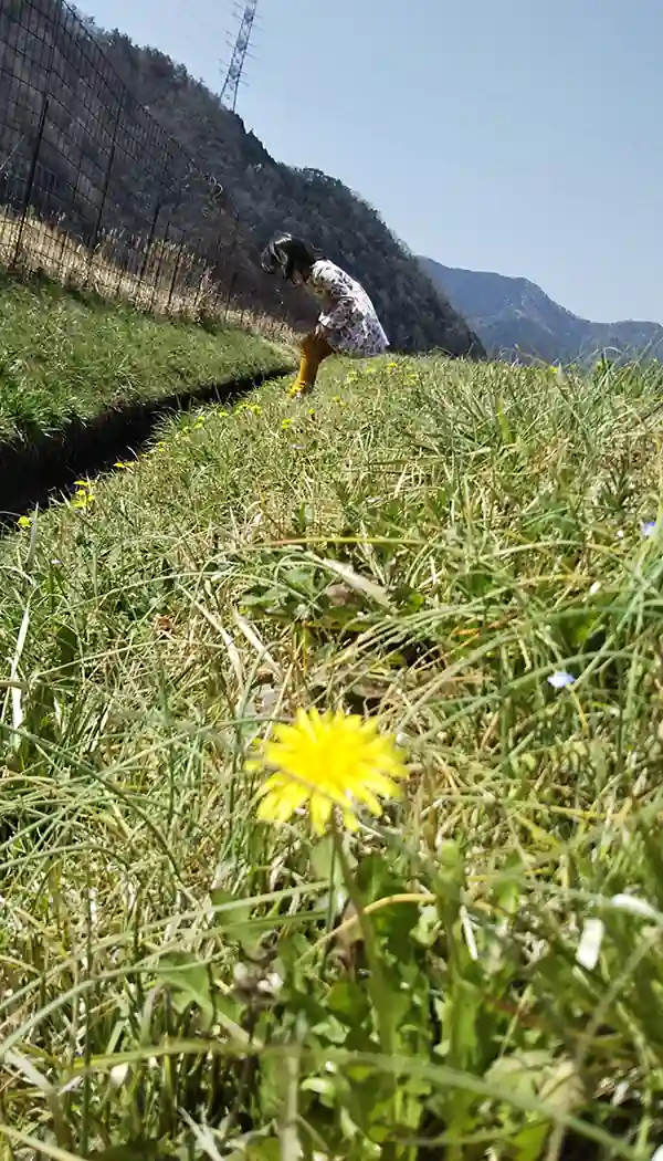メッセージ